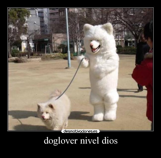 doglover nivel dios -