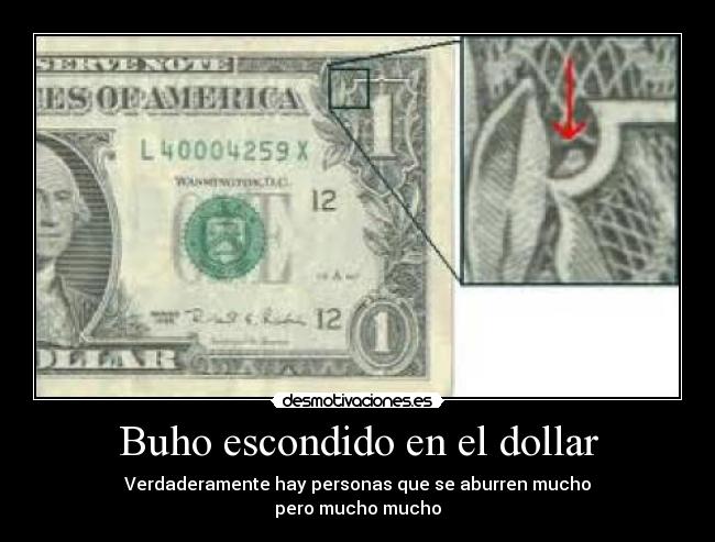 Buho escondido en el dollar - Verdaderamente hay personas que se aburren mucho
pero mucho mucho