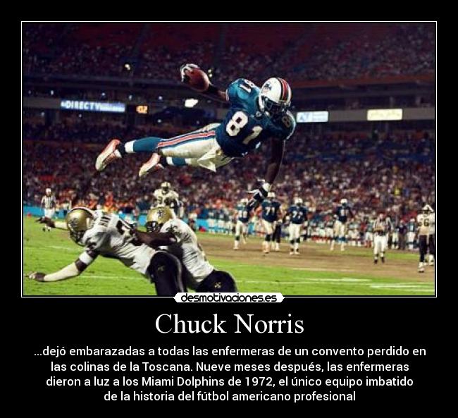 Chuck Norris - ...dejó embarazadas a todas las enfermeras de un convento perdido en
las colinas de la Toscana. Nueve meses después, las enfermeras
dieron a luz a los Miami Dolphins de 1972, el único equipo imbatido
de la historia del fútbol americano profesional