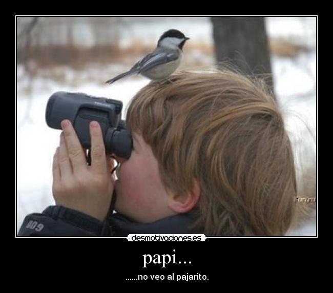papi... -