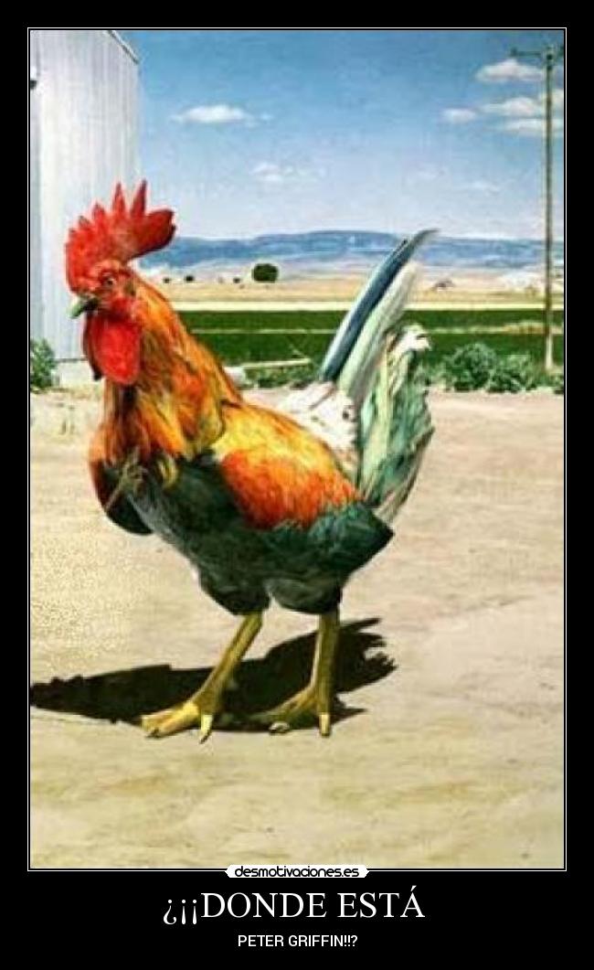 ¿¡¡DONDE ESTÁ - PETER GRIFFIN!!?