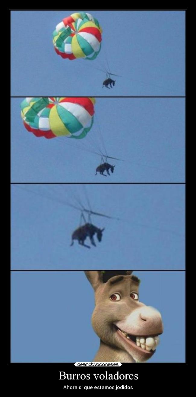 Burros voladores - Ahora si que estamos jodidos