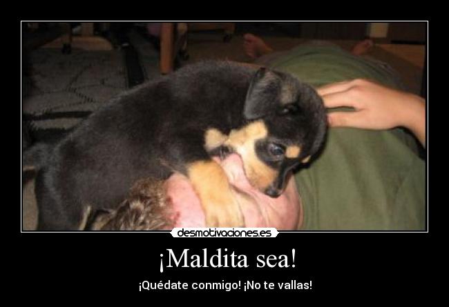 ¡Maldita sea! - ¡Quédate conmigo! ¡No te vallas!
