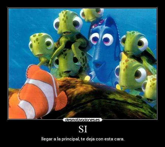 SI - llegar a la principal, te deja con esta cara.