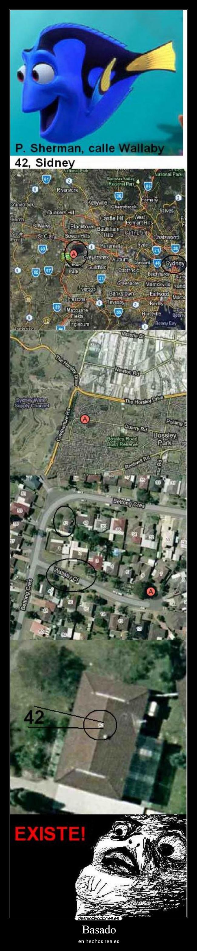 carteles sherman calle wallaby sidney buscando nemo inglip desmotivaciones