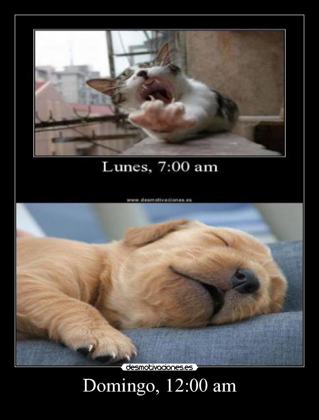Domingo, 12:00 am - 