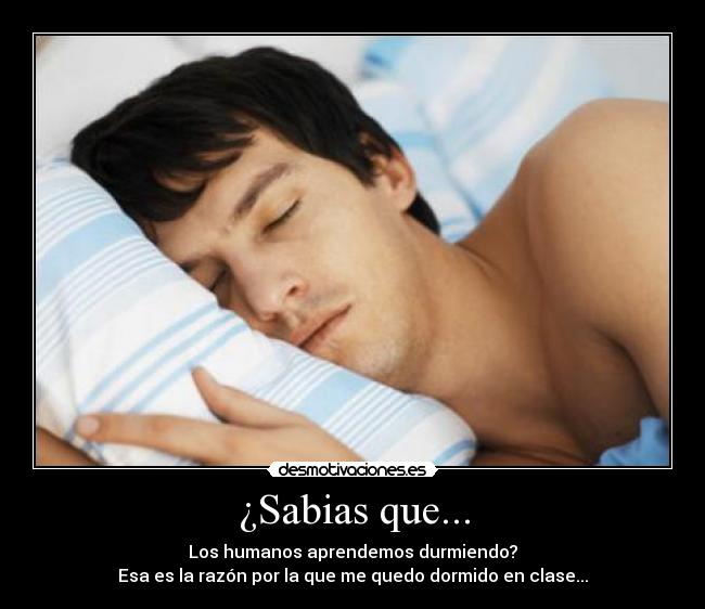 ¿Sabias que... - Los humanos aprendemos durmiendo?
Esa es la razón por la que me quedo dormido en clase...