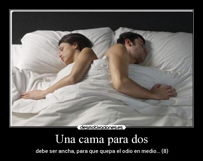 Una cama para dos - debe ser ancha, para que quepa el odio en medio... (8)