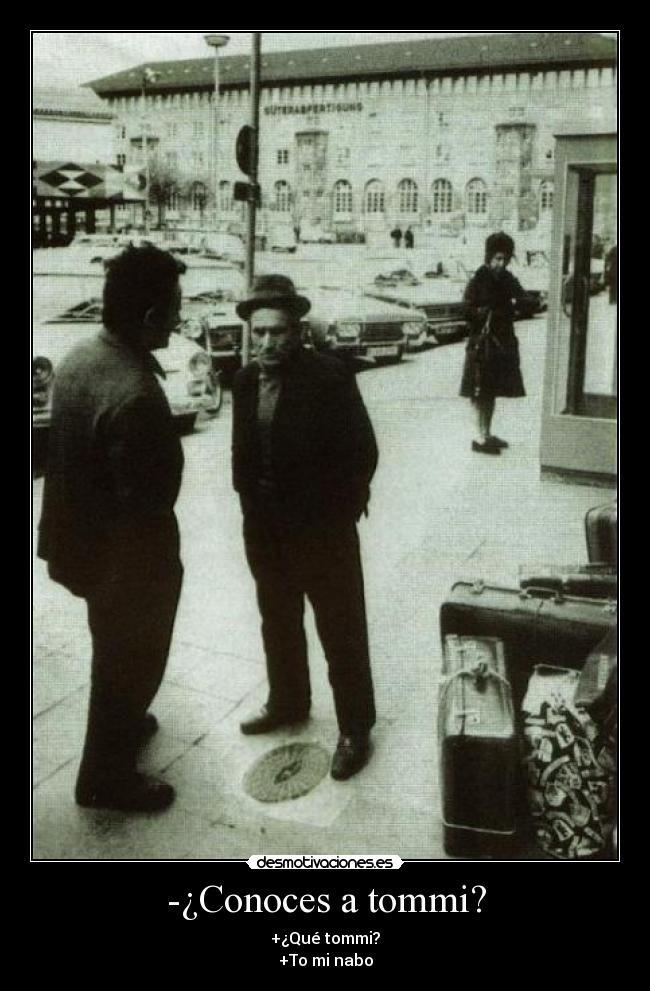 -¿Conoces a tommi? - +¿Qué tommi?
+To mi nabo