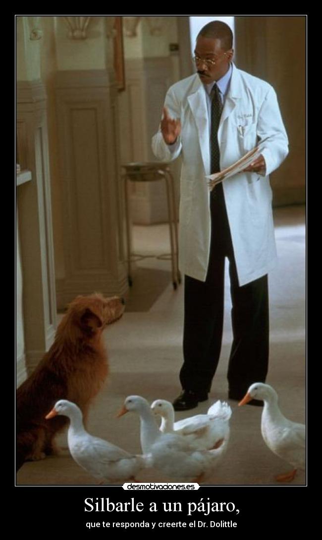 Silbarle a un pájaro, -