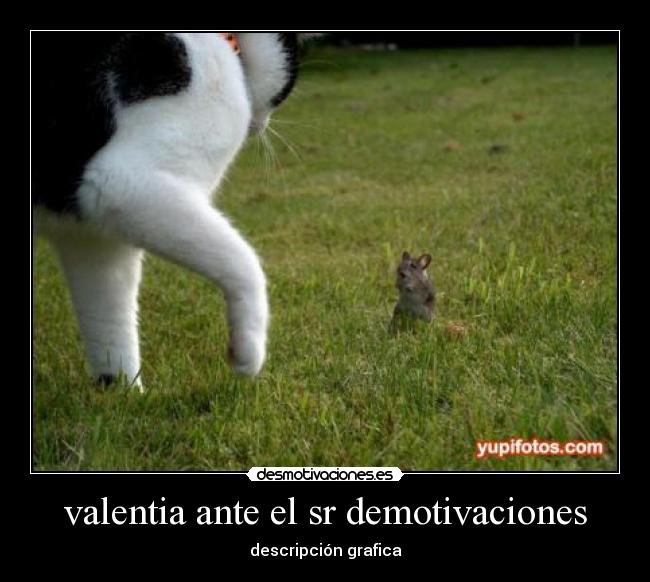 valentia ante el sr demotivaciones -