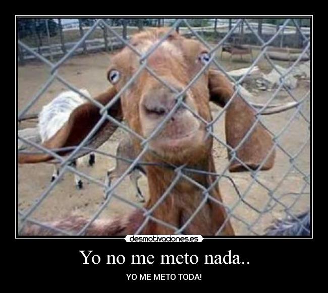 Yo no me meto nada.. - YO ME METO TODA!