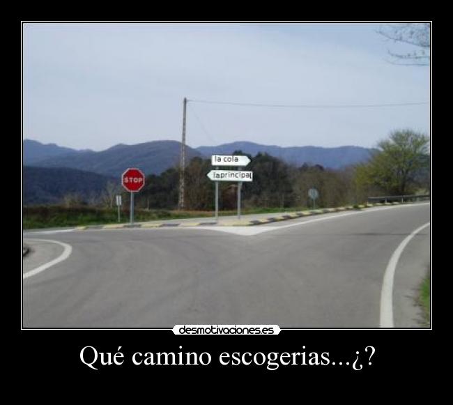 Qué camino escogerias...¿? -