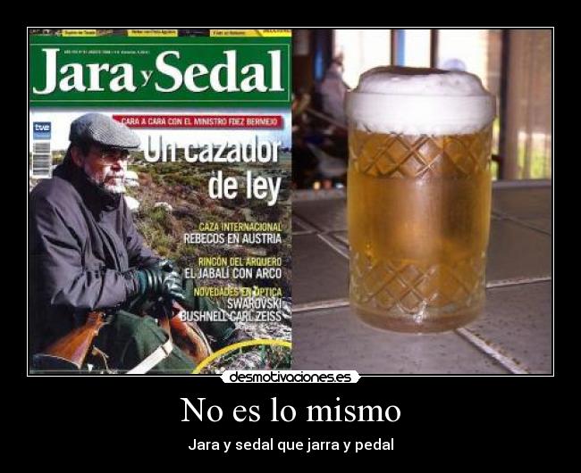 carteles assasas desmotivaciones