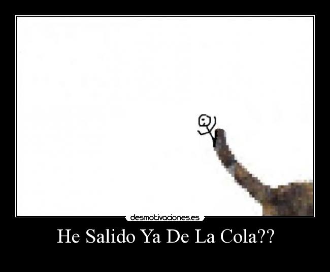 carteles cola-salir-gato desmotivaciones