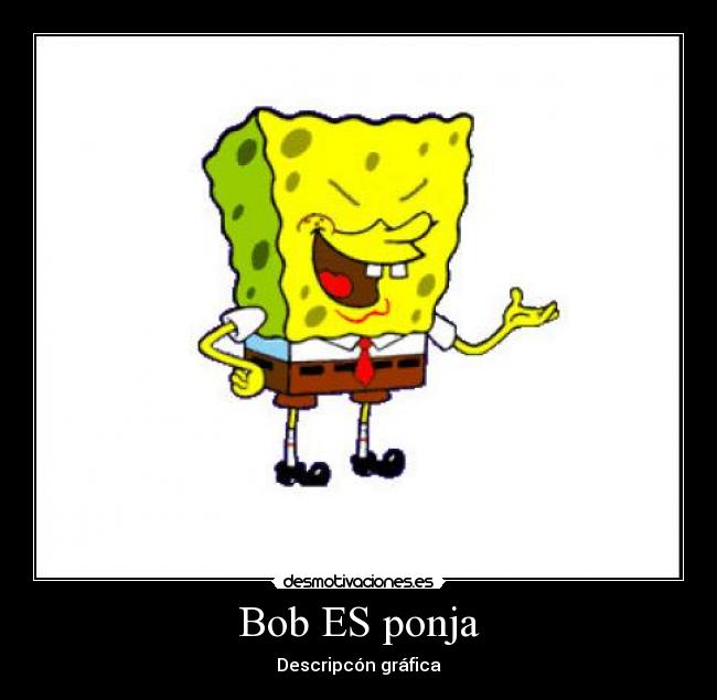 Bob ES ponja - Descripcón gráfica