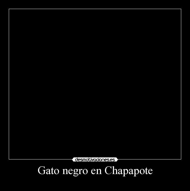 Gato negro en Chapapote - 