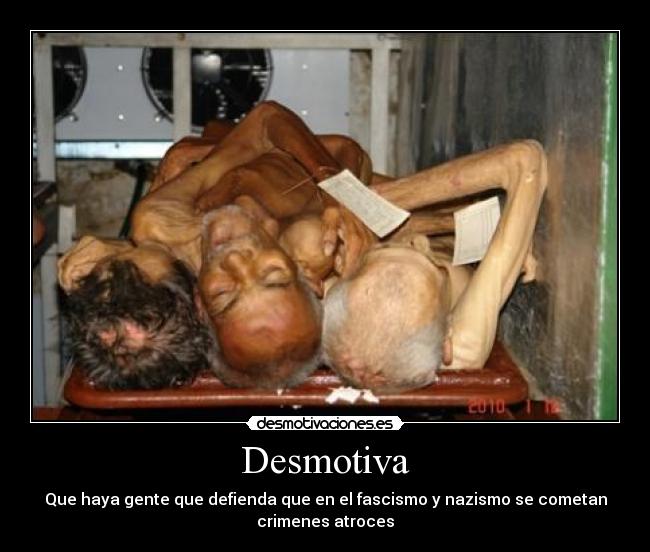 carteles nazis desmotivaciones