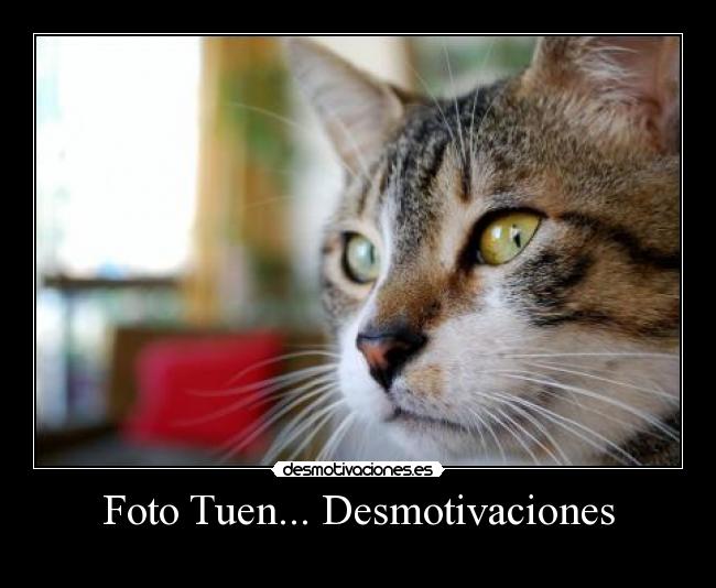 Foto Tuen... Desmotivaciones -