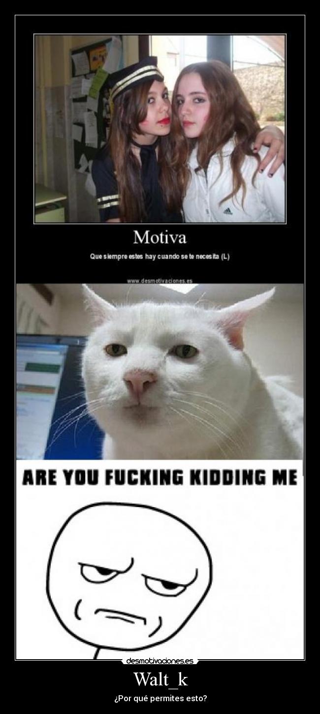 Walt_k - ¿Por qué permites esto?