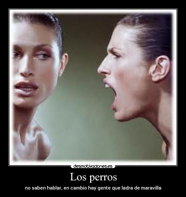 Los perros - no saben hablar, en cambio hay gente que ladra de maravilla