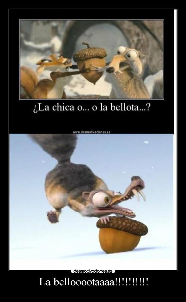 carteles scrat bellota sasch desmotivaciones