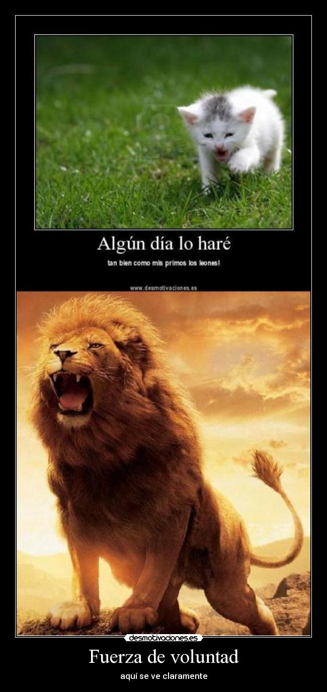 Fuerza de voluntad - aquí se ve claramente