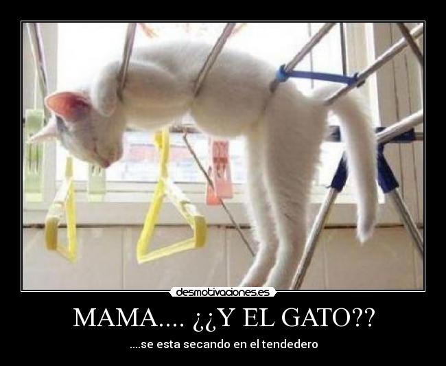 MAMA.... ¿¿Y EL GATO?? - 