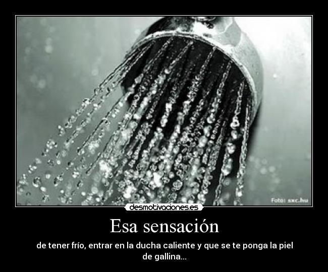 Esa sensación - de tener frío, entrar en la ducha caliente y que se te ponga la piel de gallina...