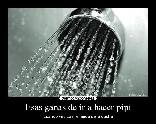 Esas ganas de ir a hacer pipi - cuando ves caer el agua de la ducha