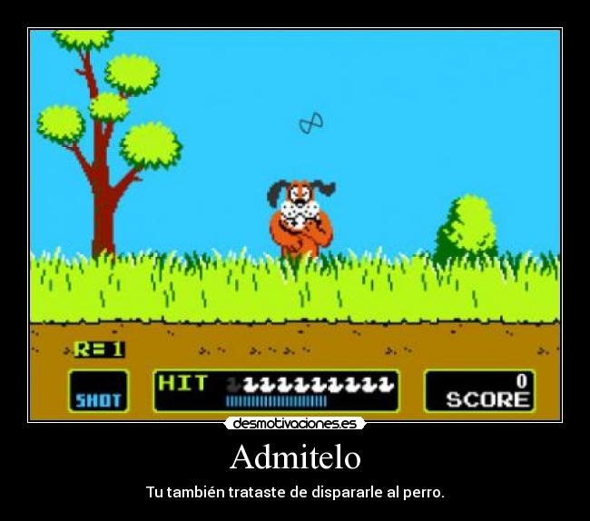 juego de perro y patos