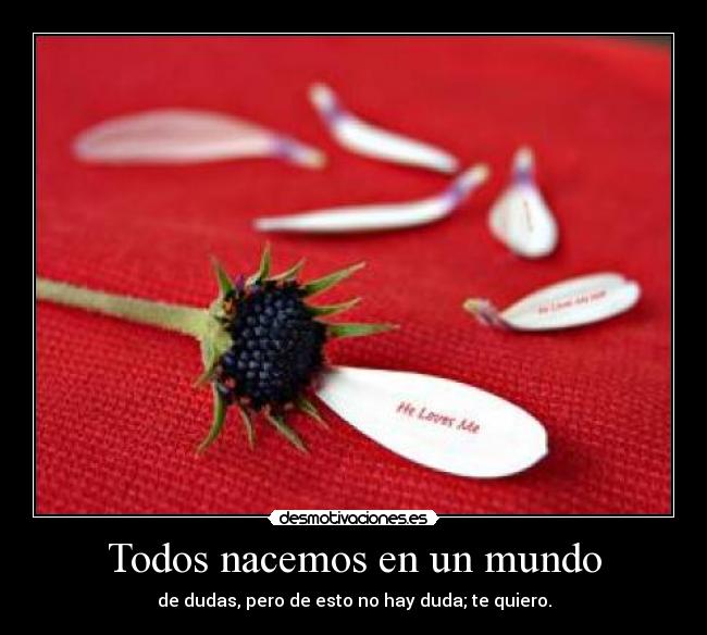 Todos nacemos en un mundo - de dudas, pero de esto no hay duda; te quiero.