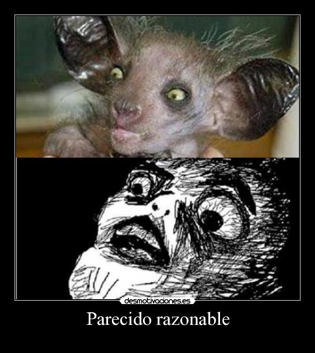 Parecido razonable -