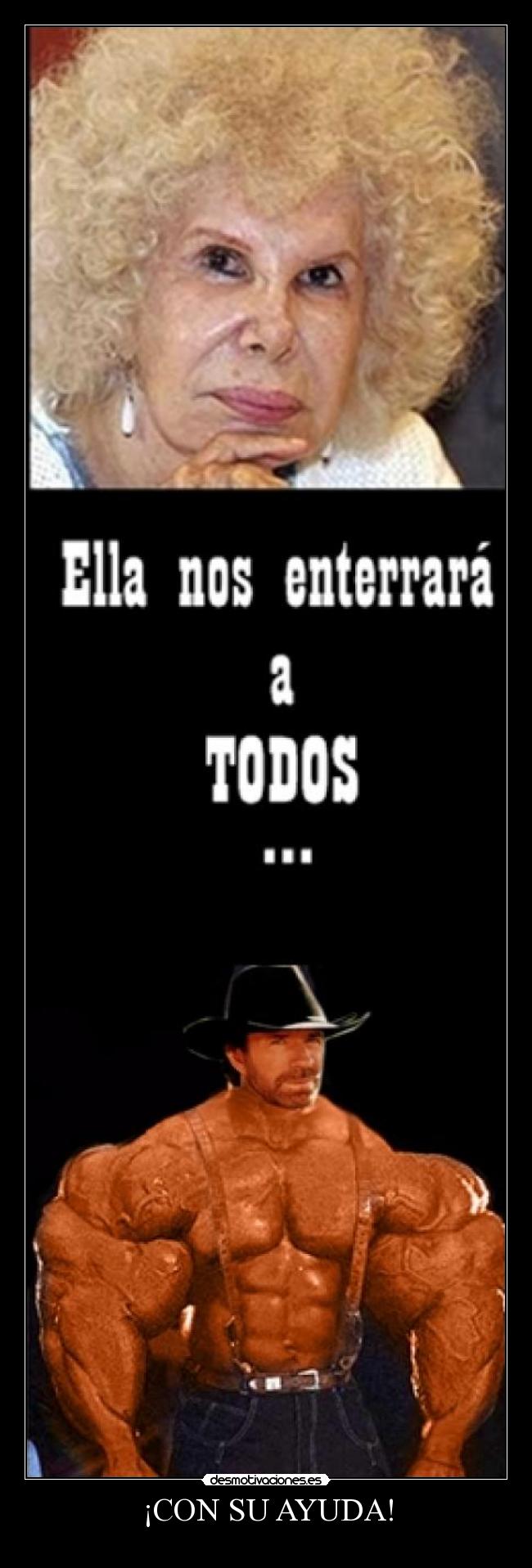 carteles ayuda chuck norris desmotivaciones