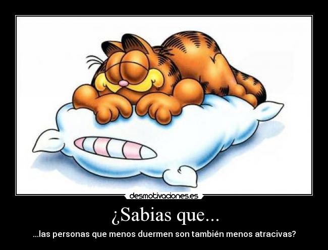¿Sabias que... - ...las personas que menos duermen son también menos atracivas?