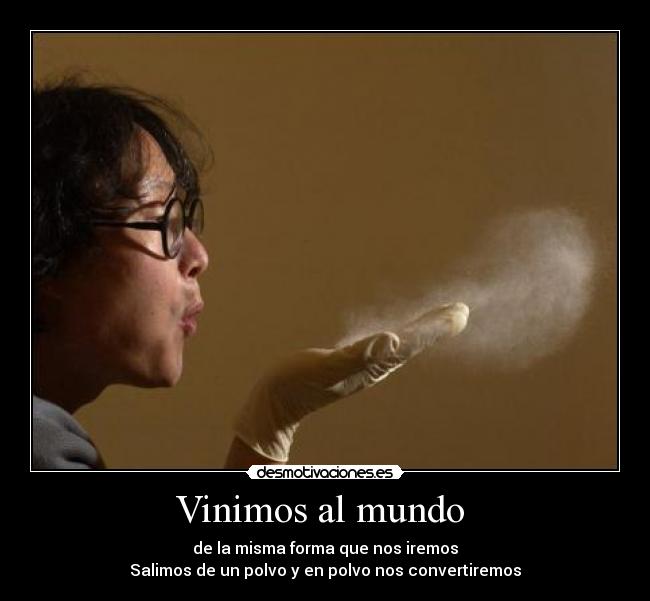 Vinimos al mundo  - 
