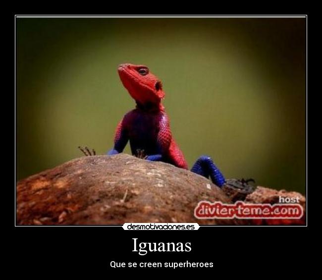 carteles iguana spiderman desmotivaciones
