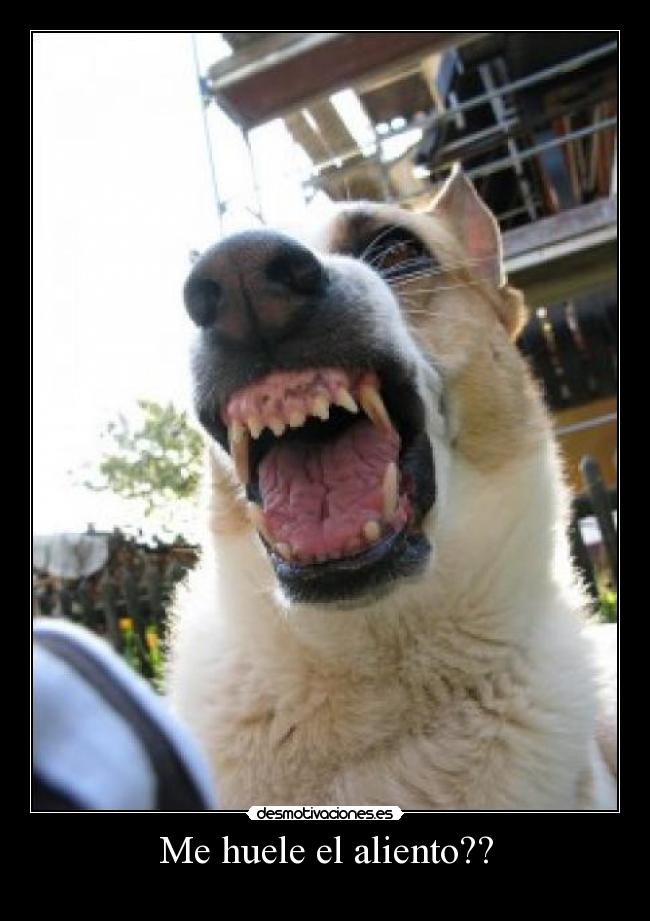 Me huele el aliento?? - 