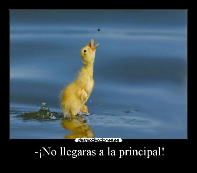 -¡No llegaras a la principal! - 