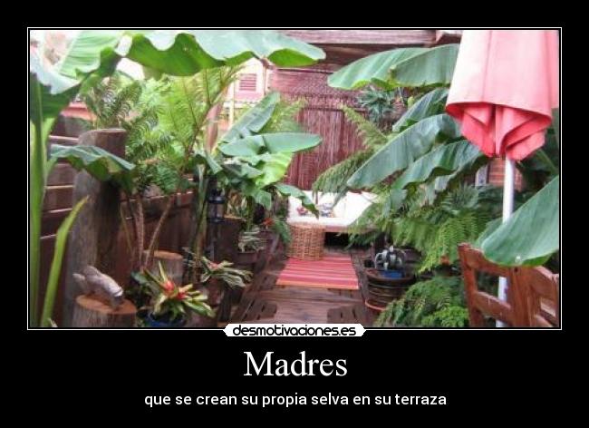 Madres - que se crean su propia selva en su terraza