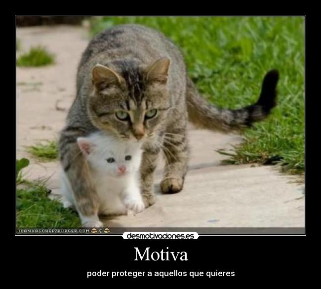 Motiva -