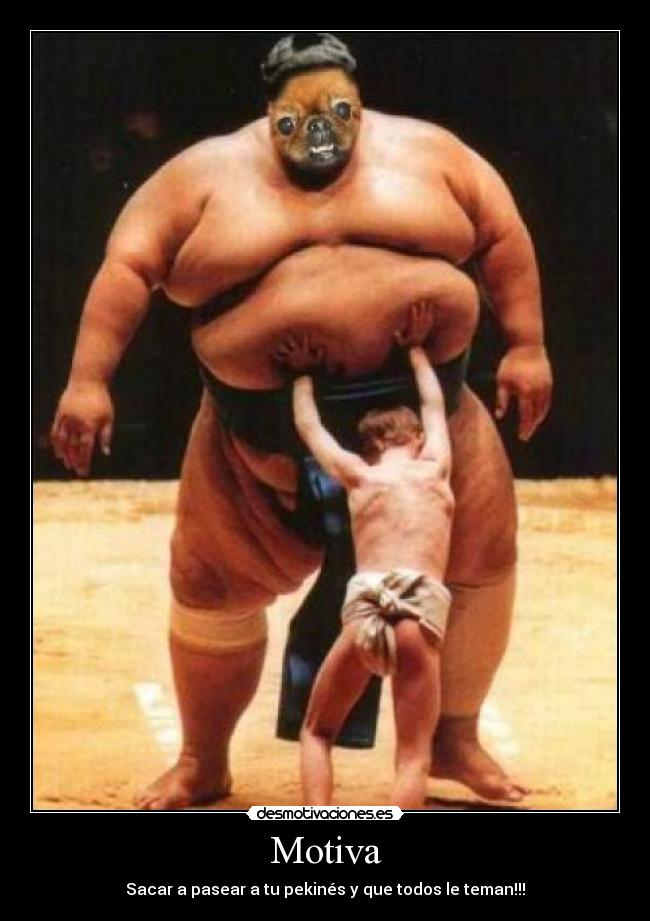 carteles pekines desmotivaciones