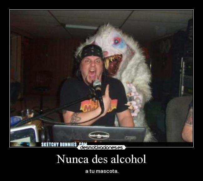 Nunca des alcohol - a tu mascota.