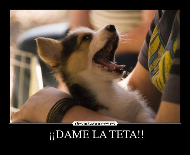 ¡¡DAME LA TETA!! - 