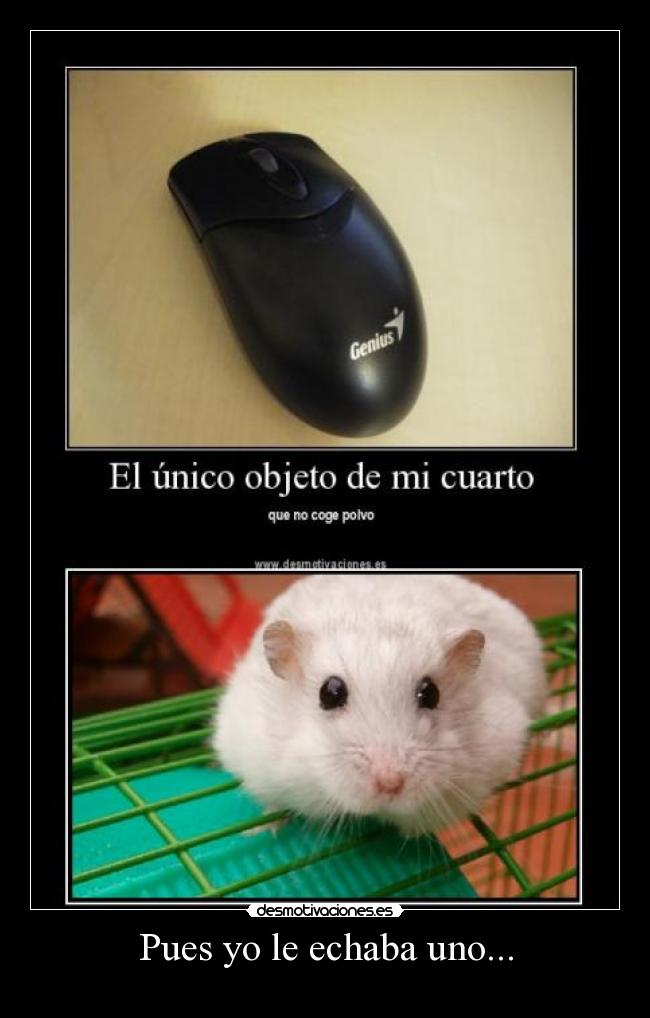 carteles echar polvo ratones lol desmotivaciones