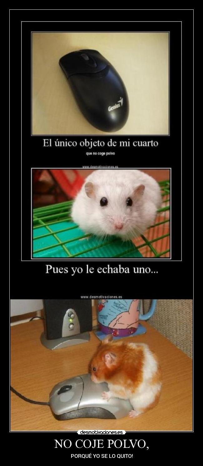 NO COJE POLVO, - PORQUÉ YO SE LO QUITO!