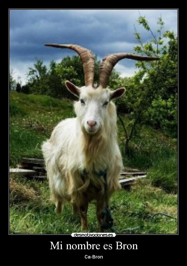 Mi nombre es Bron - 