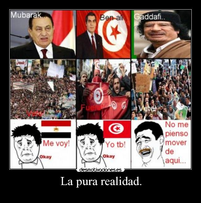 La pura realidad. -