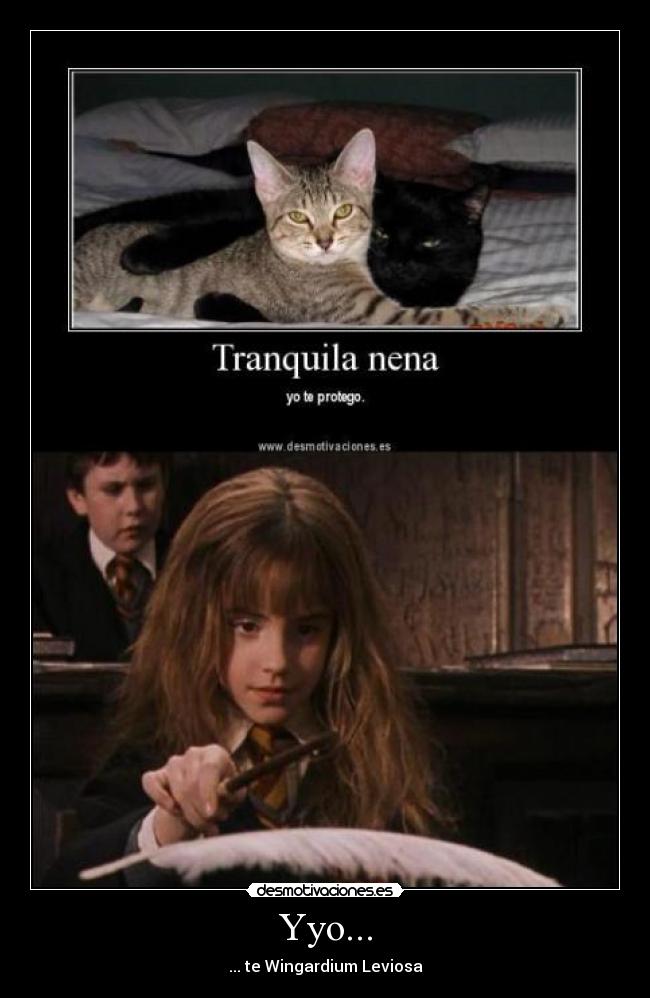 carteles perra golfa zorra puta tetas desmotivaciones