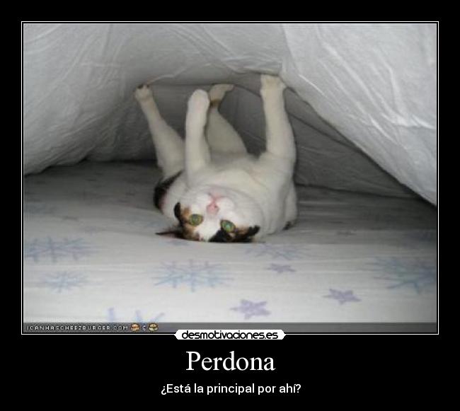 Perdona - 